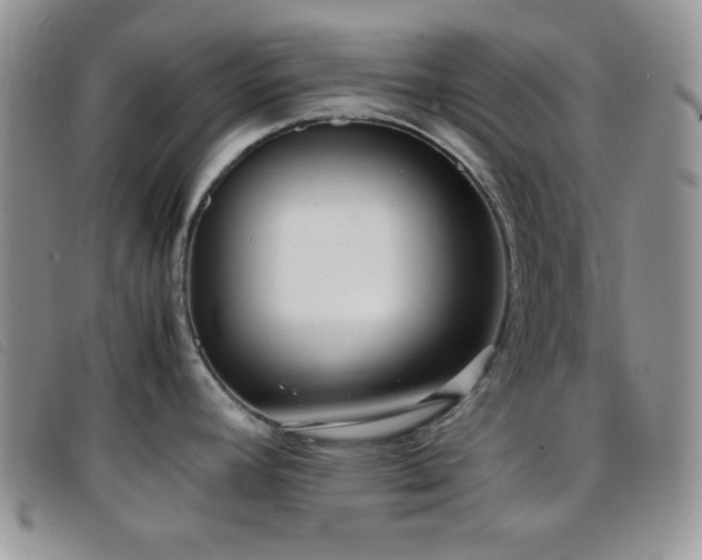 X0000096671392200802051212
