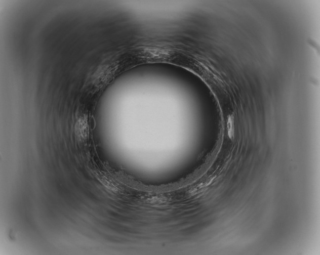 X0000096671395200802051212