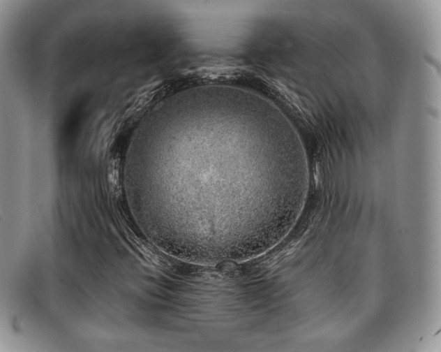 X0000096671396200802051212