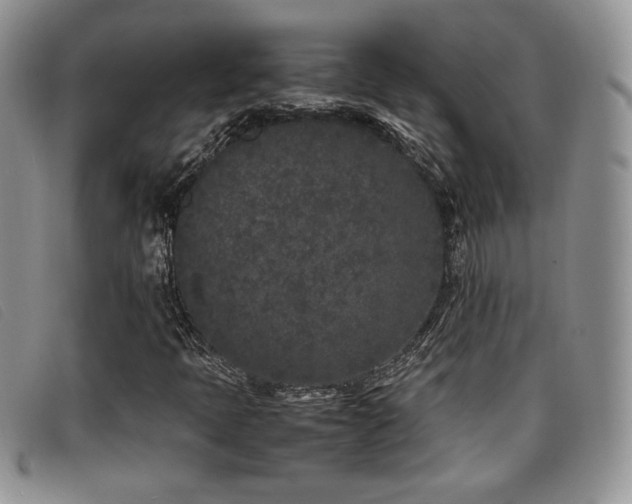 X0000096671397200802051212