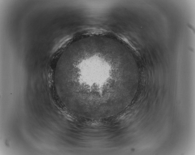 X0000096671399200802051212