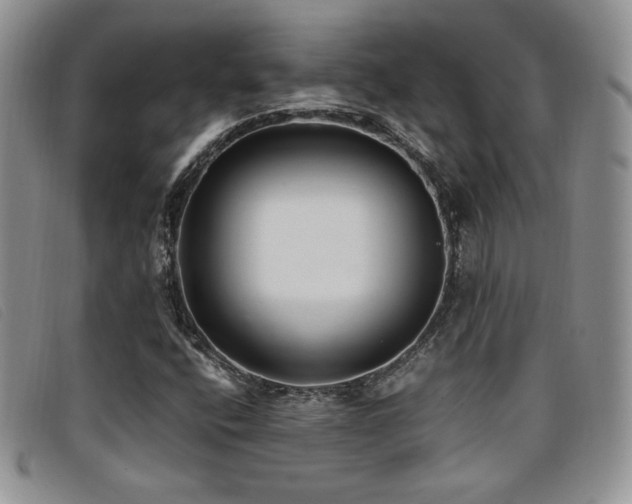 X0000096671400200802051212