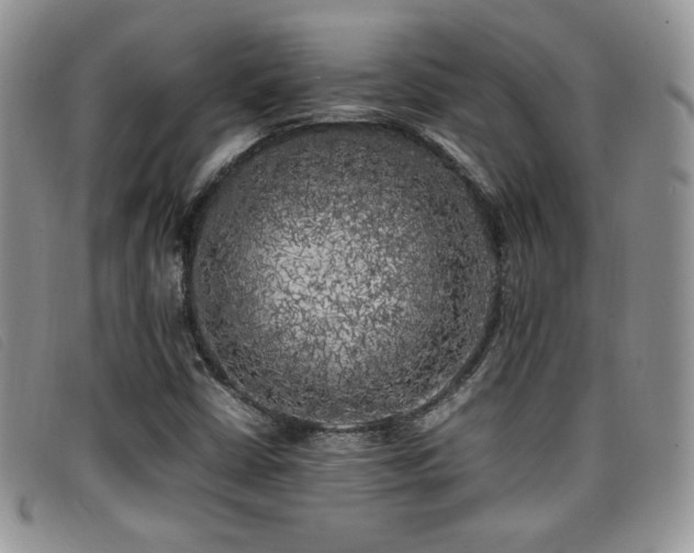 X0000096671402200802051212
