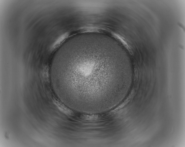 X0000096671403200802051212