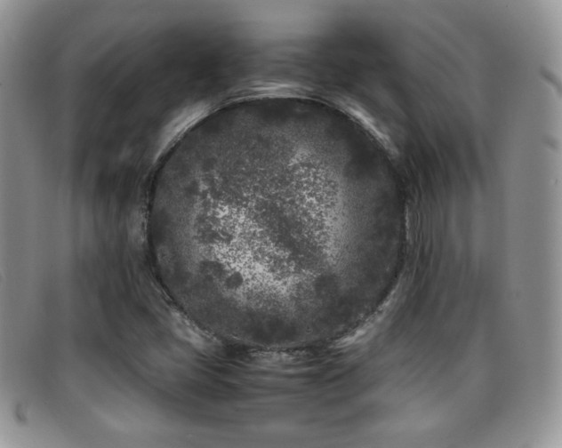 X0000096671405200802051212