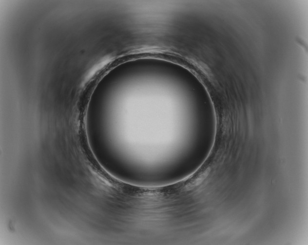 X0000096671406200802051212