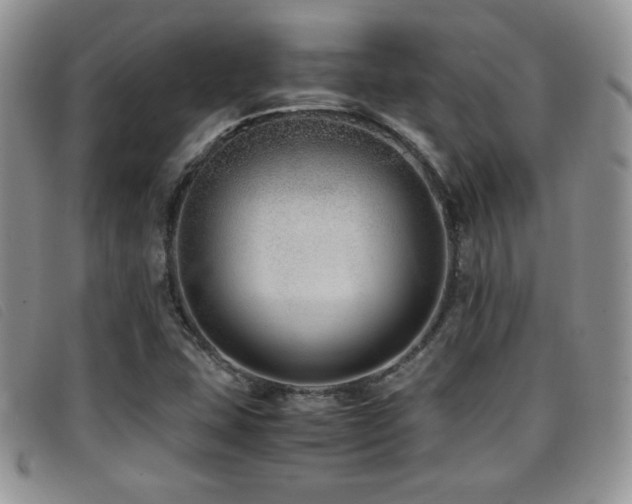 X0000096671407200802051212