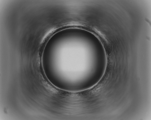 X0000096671408200802051212
