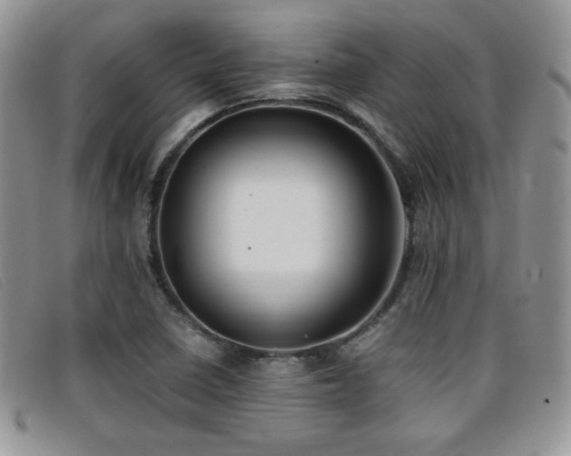 X0000096671410200802051212