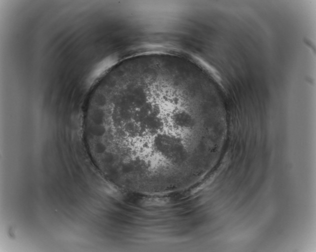 X0000096671411200802051212