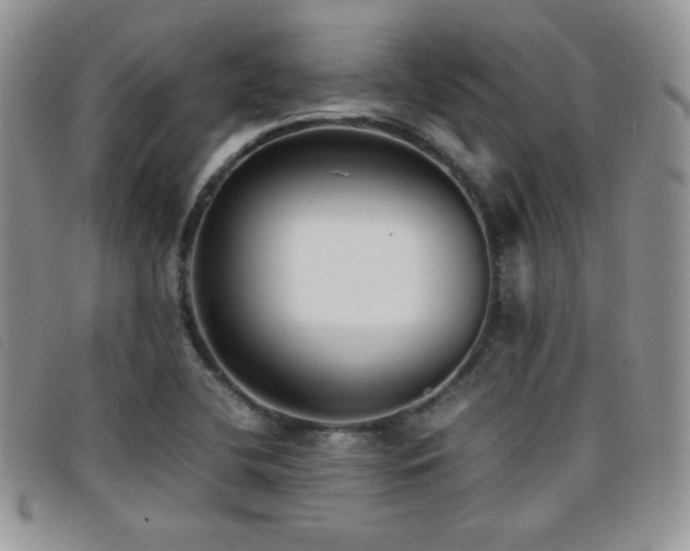 X0000096671412200802051212