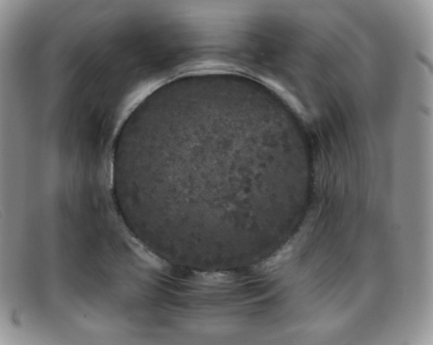 X0000096671413200802051212