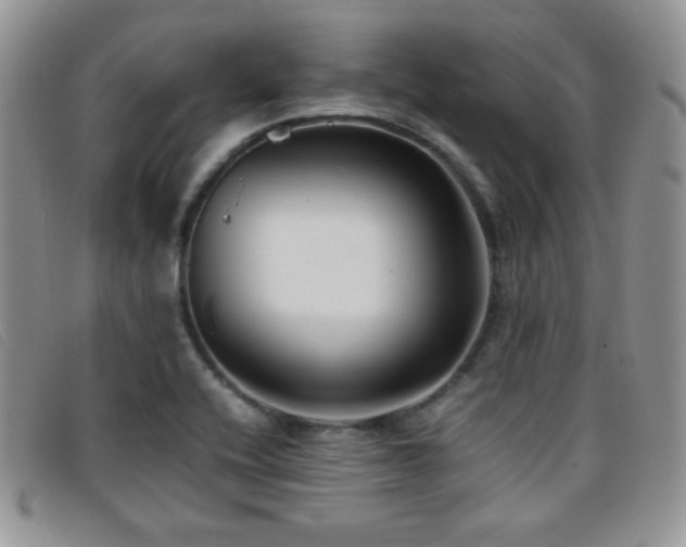 X0000096671416200802051212
