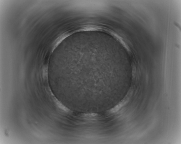 X0000096671417200802051212