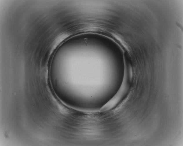 X0000096671418200802051212