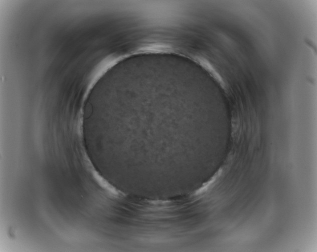 X0000096671421200802051212