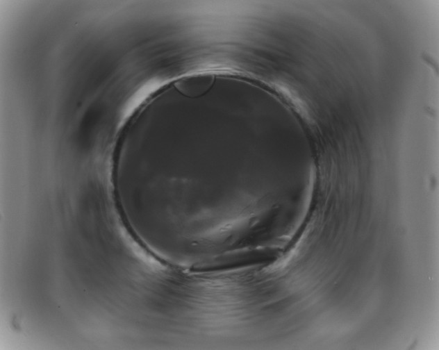 X0000096671422200802051212