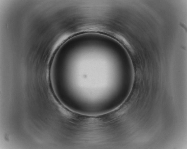 X0000096671424200802051212
