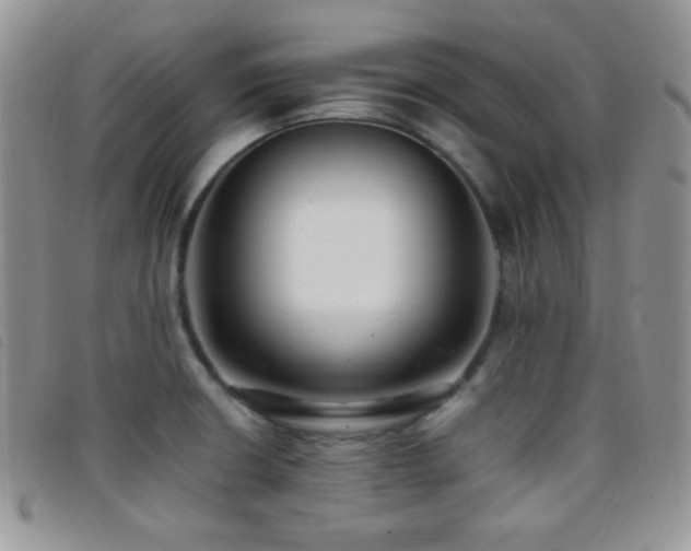 X0000096671426200802051212
