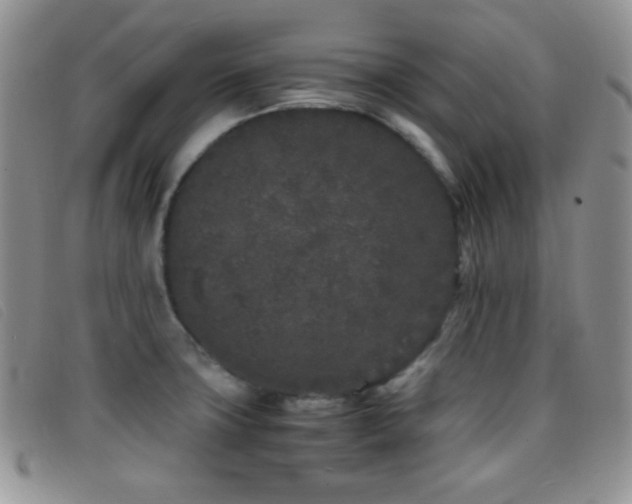 X0000096671427200802051212
