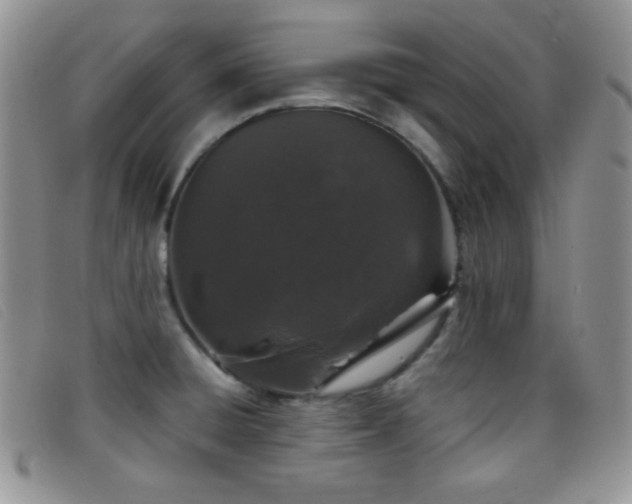 X0000096671428200802051212