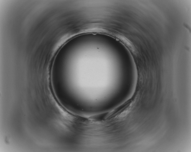 X0000096671430200802051212