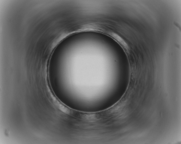 X0000096671431200802051212