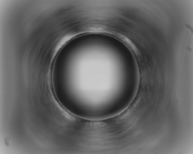 X0000096671432200802051212