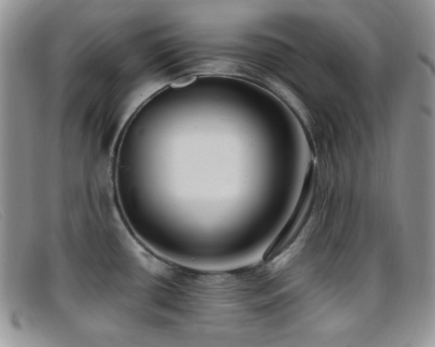 X0000096671434200802051212