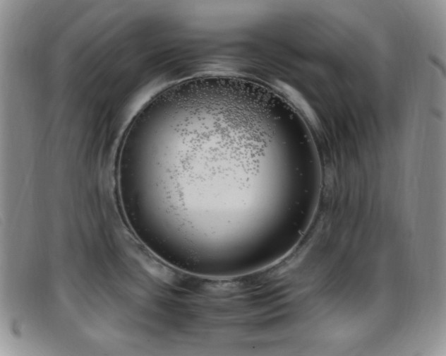 X0000096671435200802051212