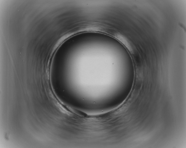X0000096671436200802051212