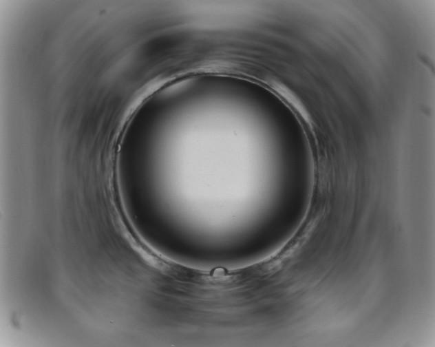 X0000096671437200802051212