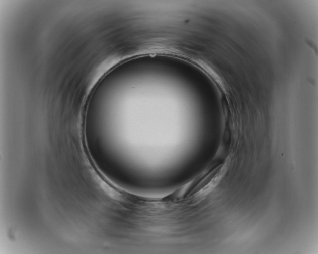 X0000096671438200802051212