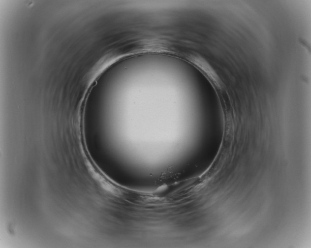 X0000096671439200802051212