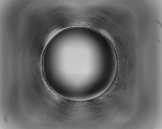 X0000096671440200802051212