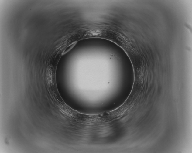 X0000096671442200802051212