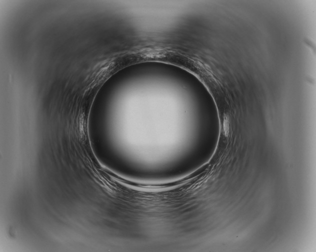X0000096671444200802051212