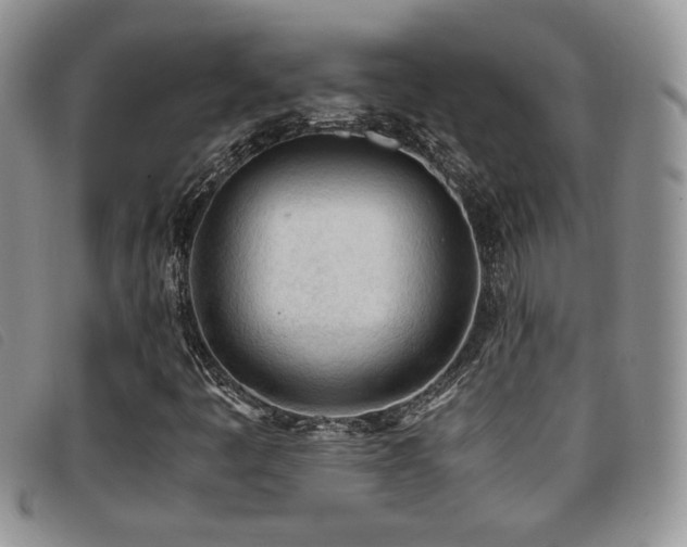 X0000096671445200802051212