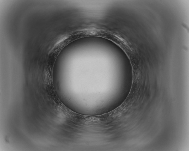 X0000096671446200802051212