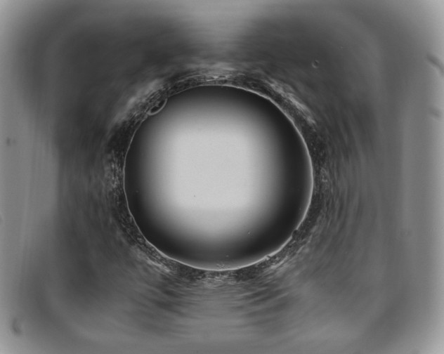 X0000096671447200802051212