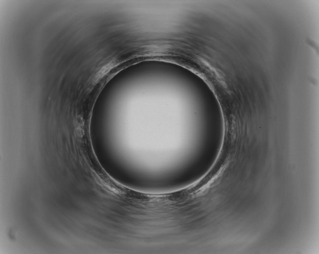X0000096671449200802051212