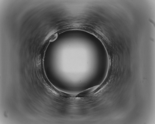 X0000096671450200802051212