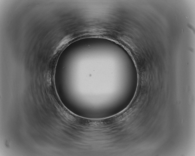 X0000096671451200802051212