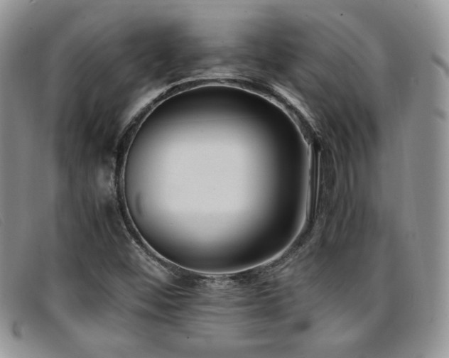X0000096671452200802051211