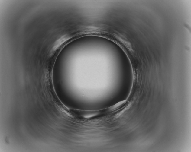 X0000096671453200802051211