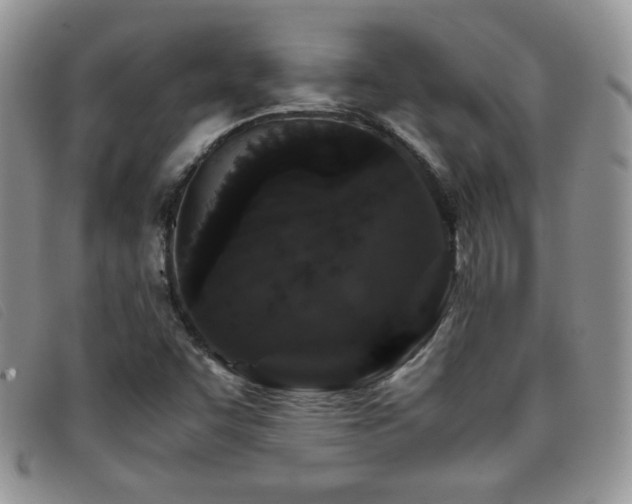 X0000096671455200802051211
