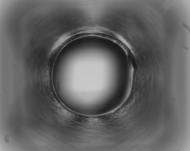 X0000096671456200802051211