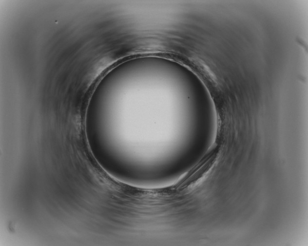 X0000096671457200802051211