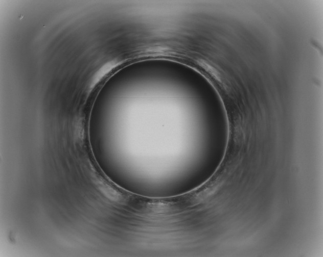 X0000096671458200802051211