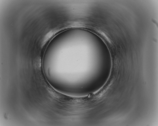 X0000096671461200802051211